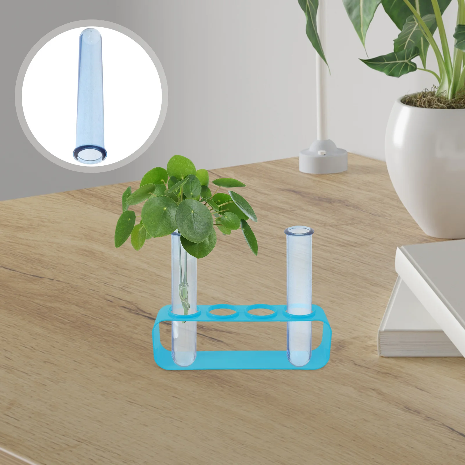 6Pcs Transparent Test Tube Plant Propagation Vases 12Cm Hydroponic Flower Holders Small Desktop Station for Home Office Decor
6Pcs Transparent Test Tube Plant Propagation Vases 12Cm Hydroponic Flower Holders Small Desktop Station for Home Office Decor