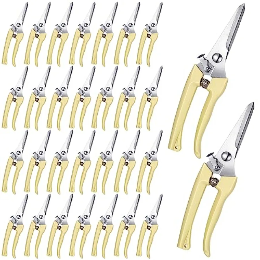30 Pcs Garden Flower Shears Pruning Scissors Heavy Duty Plant Scissors Trimming Garden Clippers Hand Tree Pruner for Yard Garde
30 Pcs Garden Flower Shears Pruning Scissors Heavy Duty Plant Scissors Trimming Garden Clippers Hand Tree Pruner for Yard Garde
