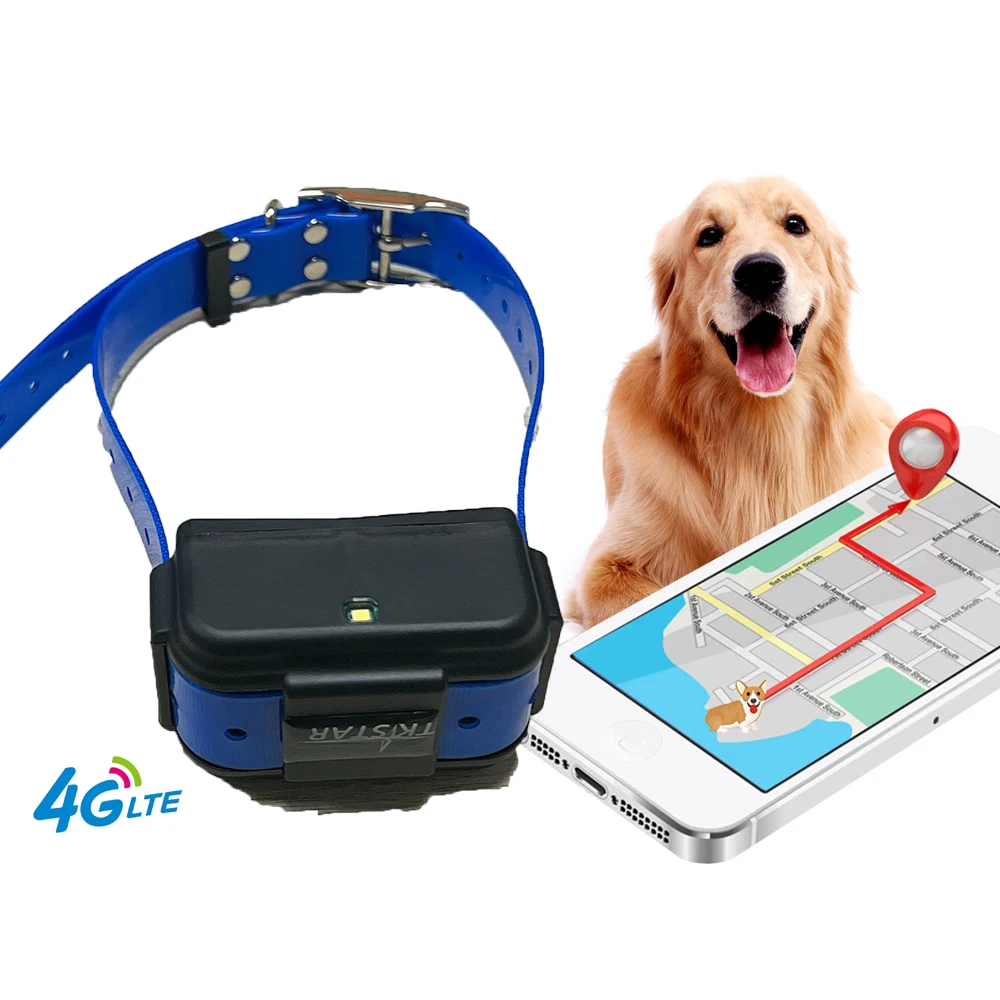 Factory Direct Hunting Dog GPS Tracker 4G Online Locator TKstar 3000mAh with Collar Tracking Device for Animals
Factory Direct Hunting Dog GPS Tracker 4G Online Locator TKstar 3000mAh with Collar Tracking Device for Animals