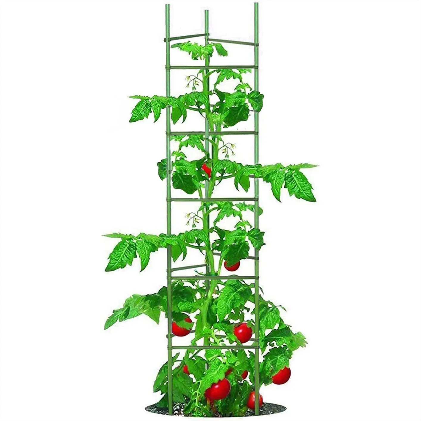 Tomato Cage for Garden with Adjustable Stakes, 6 Pack 73 Inch Tall Plant Support for Climbing Vegetables
Tomato Cage for Garden with Adjustable Stakes, 6 Pack 73 Inch Tall Plant Support for Climbing Vegetables