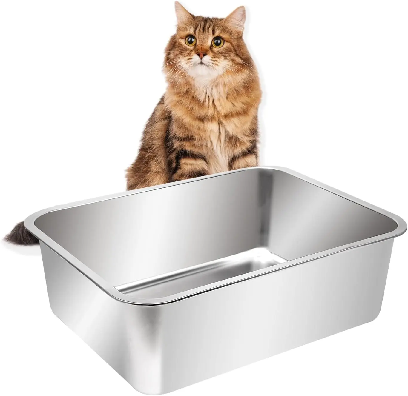 Extra Large Stainless Steel Open Cat Litter Box with High Sides, Metal Litter Pan for Cat, 23.6 x 15.7 x 5.9 Inches
Extra Large Stainless Steel Open Cat Litter Box with High Sides, Metal Litter Pan for Cat, 23.6 x 15.7 x 5.9 Inches