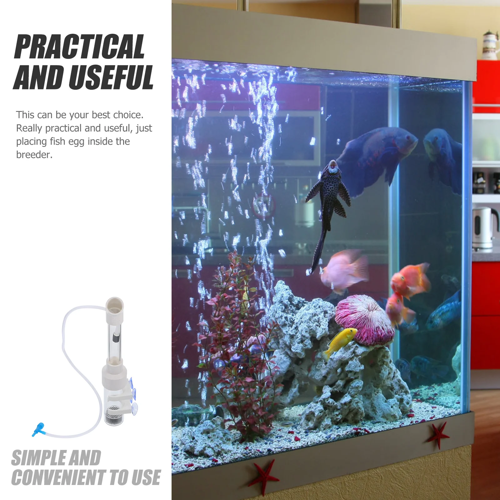 1 set 1 Set Fish Egg Incubator For Cichlid Breeding Ultra-Transparent Acrylic Hatching Tube 1Mm Sieve Plate Air Pump Compatible
1 set 1 Set Fish Egg Incubator For Cichlid Breeding Ultra-Transparent Acrylic Hatching Tube 1Mm Sieve Plate Air Pump Compatible