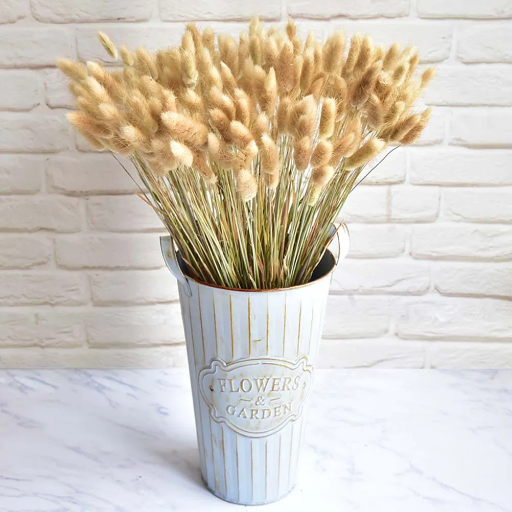 Dried Bunny Tail Rabbittail Flowers Hay Natural Plants Pastoral Home Decor Decoration
Dried Bunny Tail Rabbittail Flowers Hay Natural Plants Pastoral Home Decor Decoration