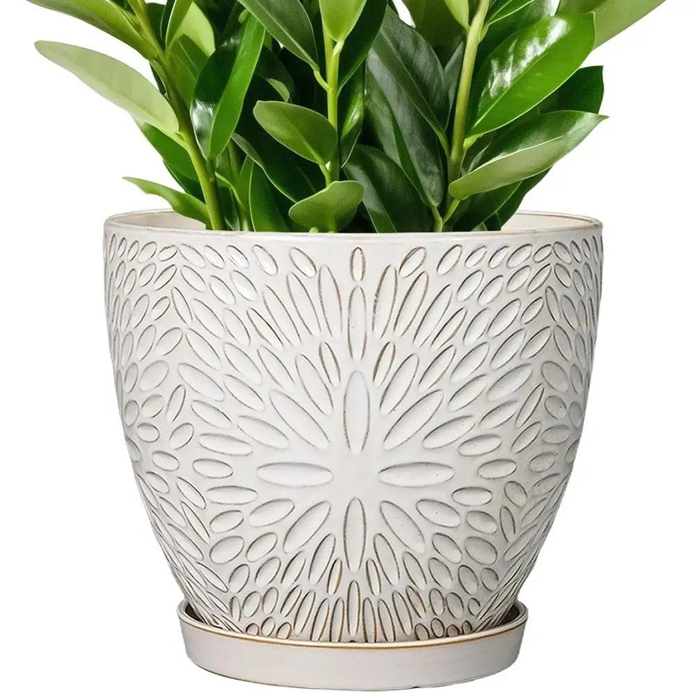 10 Inch Ceramic Planter Pot with Drainage and Saucer, Suitable for Large Indoor or Outdoor Plants, White
10 Inch Ceramic Planter Pot with Drainage and Saucer, Suitable for Large Indoor or Outdoor Plants, White