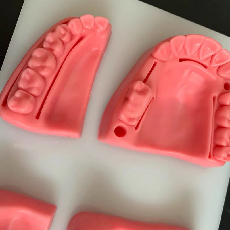 2025 Dentistry Suture Practice Model Simulation Silicone Material for Oral Cavity /Gums Practice Training Teaching Tools Lab
2025 Dentistry Suture Practice Model Simulation Silicone Material for Oral Cavity /Gums Practice Training Teaching Tools Lab