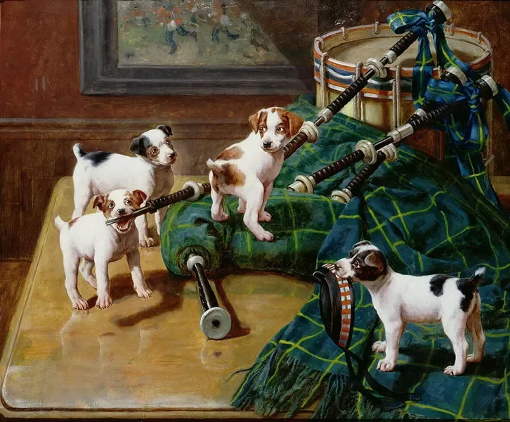 Animal Cut Dog ,Art Picture Print Silk Poster Living Room Decor ,Home Wall
Animal Cut Dog ,Art Picture Print Silk Poster Living Room Decor ,Home Wall