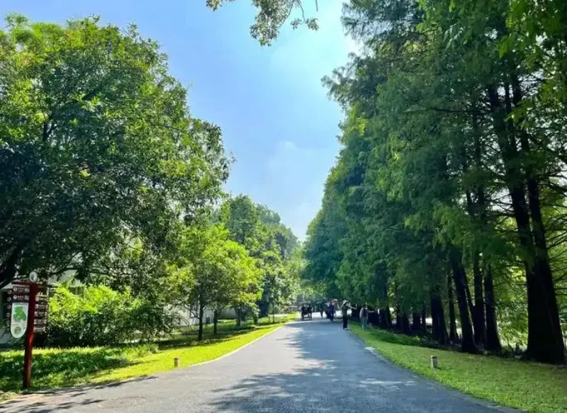 For Hyundai ix35 paint pen Supplies Modification Accessories Car paint scratch repair car scratch remover Paint repair set
For Hyundai ix35 paint pen Supplies Modification Accessories Car paint scratch repair car scratch remover Paint repair set