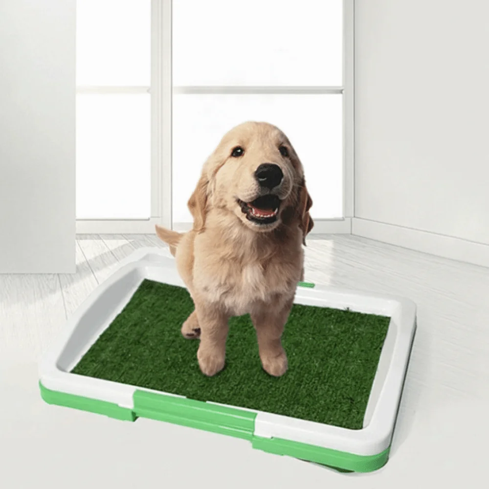 Съемный горшок для собак, туалет, противоскользящий нескользящий коврик для мочевой травы, многоразовые подушечки, подушечки для искусственной травы в помещении
Съемный горшок для собак, туалет, противоскользящий нескользящий коврик для мочевой травы, многоразовые подушечки, подушечки для искусственной травы в помещении