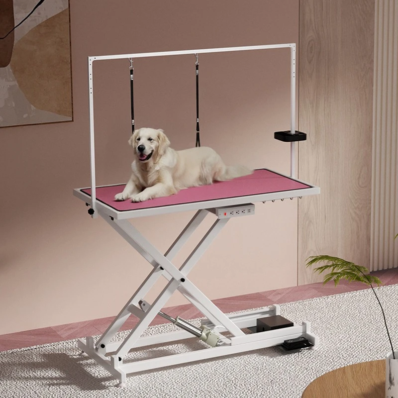 Pet, electric, beauty table, lifting table, large, special for washing and blowing, styling beauty table
Pet, electric, beauty table, lifting table, large, special for washing and blowing, styling beauty table