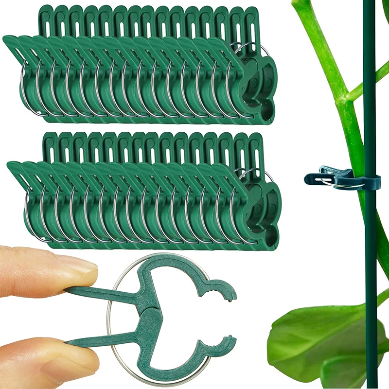 20pcs plant fixing clip reusable garden fixing plant greenhouse bracket grape flower seedling tomato support garden supplies
20pcs plant fixing clip reusable garden fixing plant greenhouse bracket grape flower seedling tomato support garden supplies