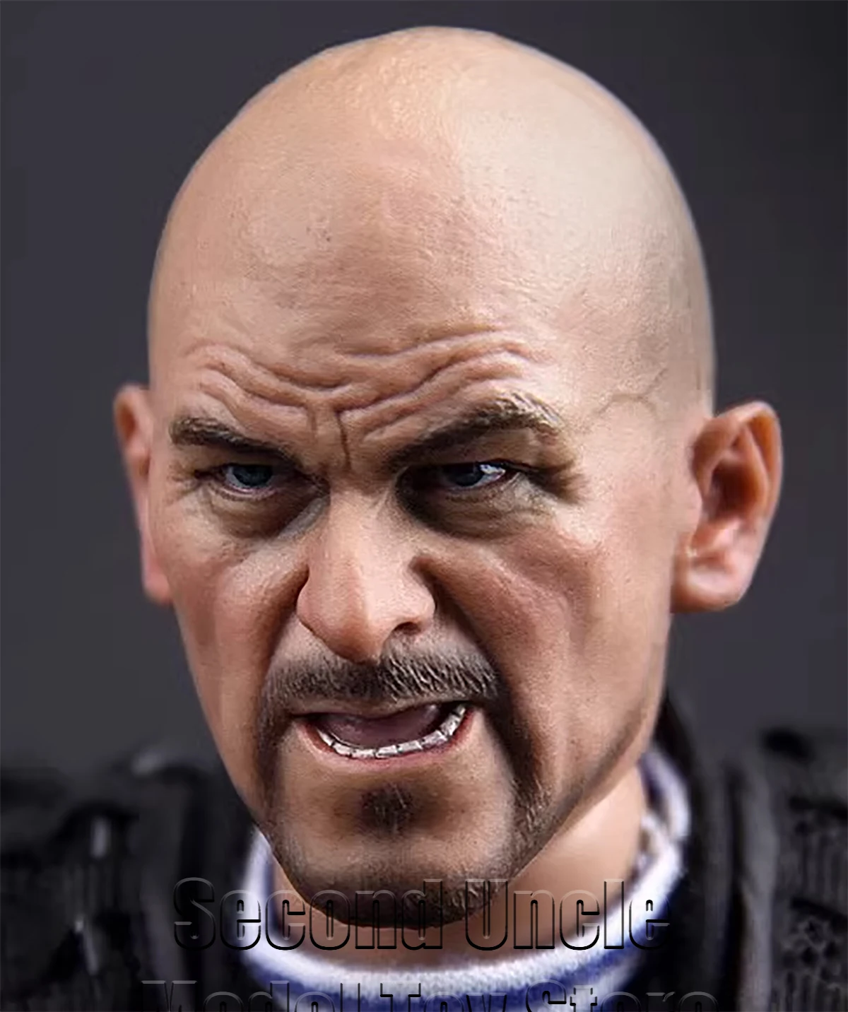 DAMTOYS DAM 78015 1/6 head sculpt model Suitable for 12 inch models
DAMTOYS DAM 78015 1/6 head sculpt model Suitable for 12 inch models