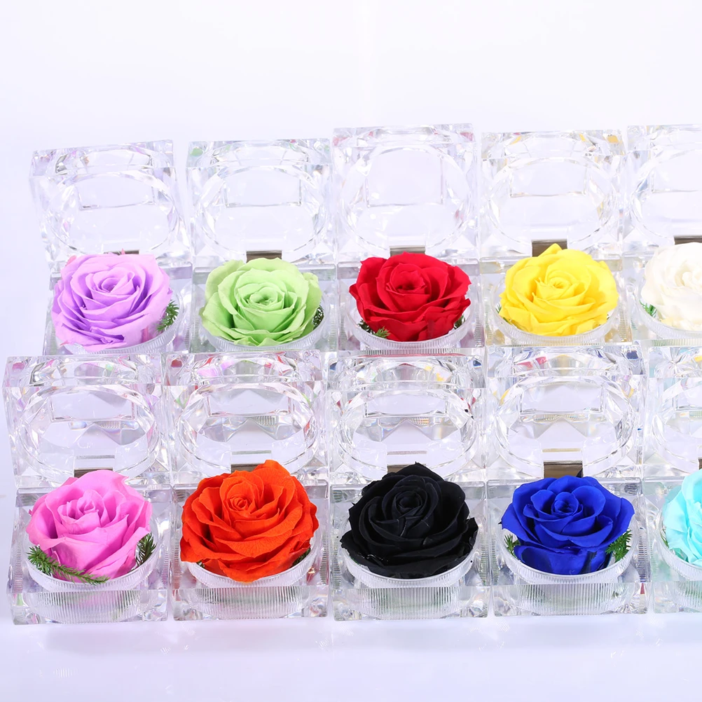 1pcs Preserved Flower Box Eternal Flower In Glass Dome Rose Valentines Day Decor Dried Flowers Handmade Dome Glass
1pcs Preserved Flower Box Eternal Flower In Glass Dome Rose Valentines Day Decor Dried Flowers Handmade Dome Glass
