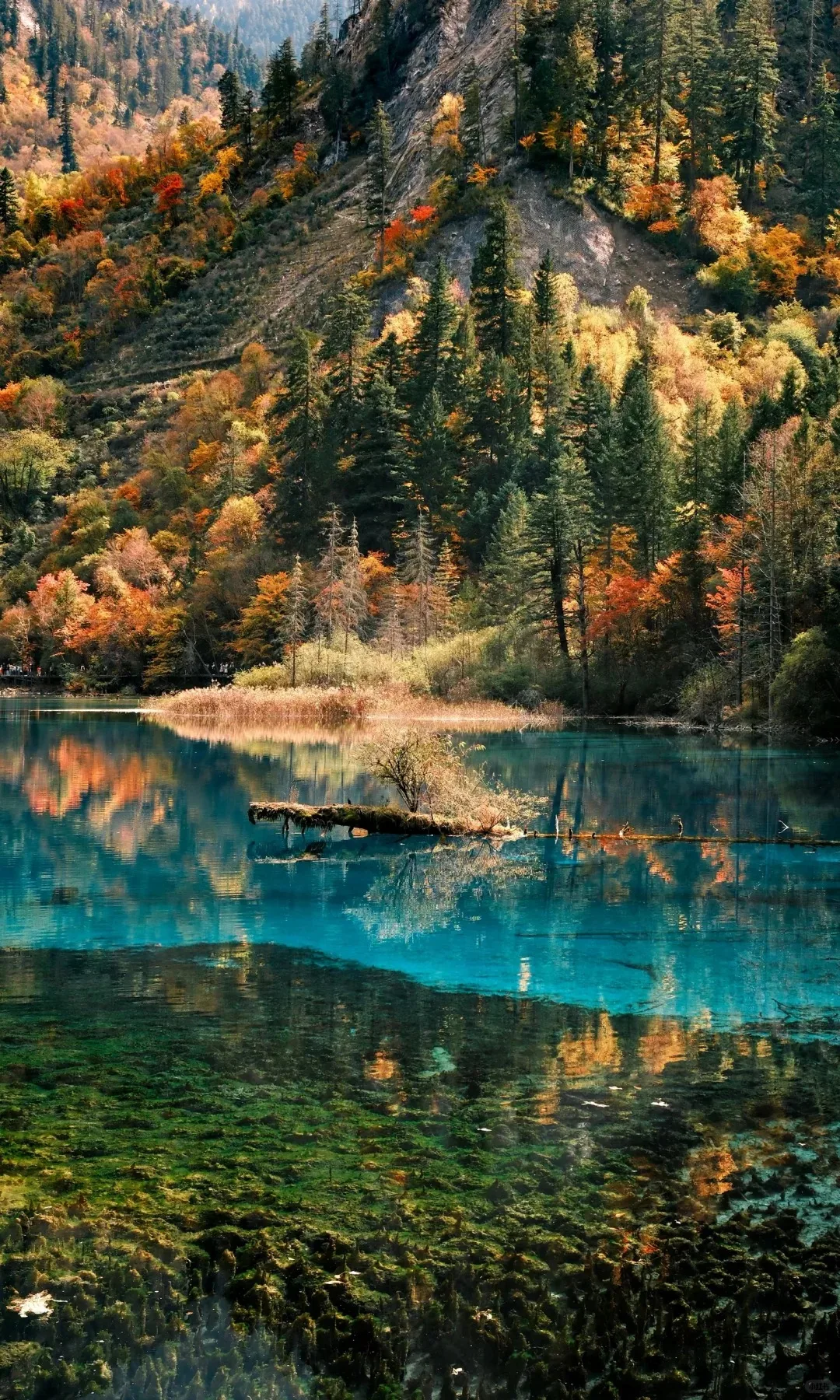 Auto Stereo Android 14.0 Car Radio Navi CarPlay For Ford F150 2015-2020 F-150 Multimedia Player Qualcomm Head Unit 12.1" Screen
Auto Stereo Android 14.0 Car Radio Navi CarPlay For Ford F150 2015-2020 F-150 Multimedia Player Qualcomm Head Unit 12.1" Screen