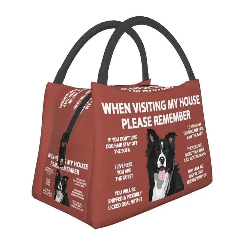 Термальная изолированная сумка для ланча Border Collie, подарок для женщин и домашних животных, подарок для собаки, контейнер для еды на открытом воздухе, для кемпинга, путешествий, коробка для еды 
Термальная изолированная сумка для ланча Border Collie, подарок для женщин и домашних животных, подарок для собаки, контейнер для еды на открытом воздухе, для кемпинга, путешествий, коробка для еды