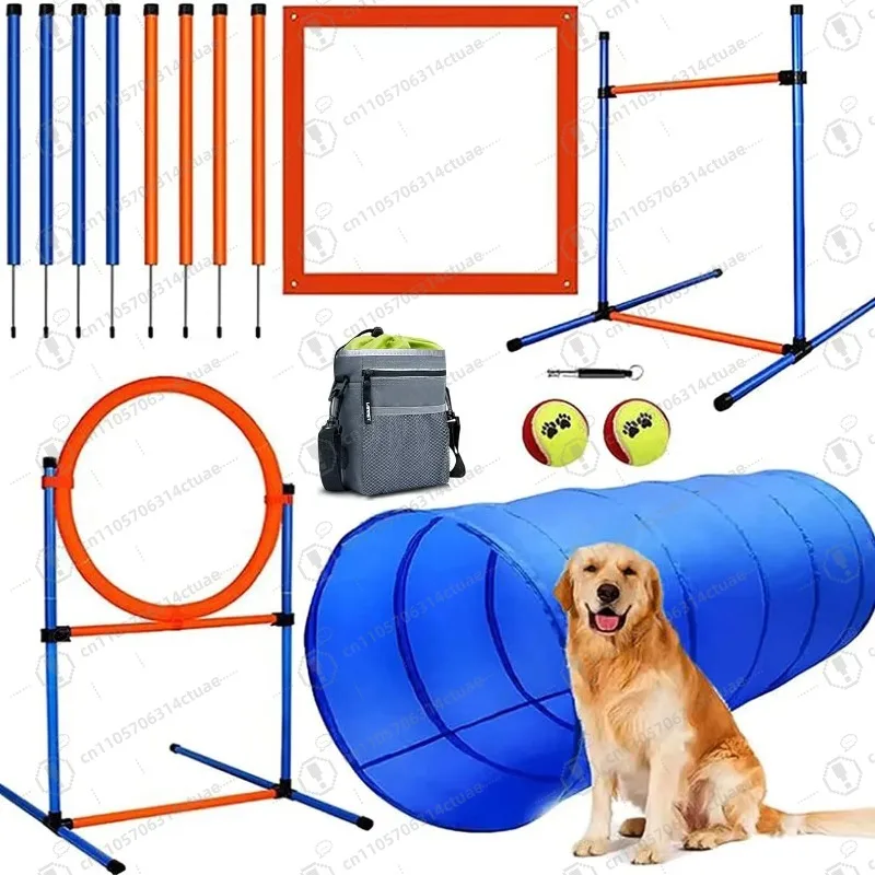 Набор для дрессировки ловкости собак из ПВХ премиум-класса — водонепроницаемый туннель и прыжок IPX7 для упражнений на лыжах на заднем дворе
Набор для дрессировки ловкости собак из ПВХ премиум-класса — водонепроницаемый туннель и прыжок IPX7 для упражнений на лыжах на заднем дворе