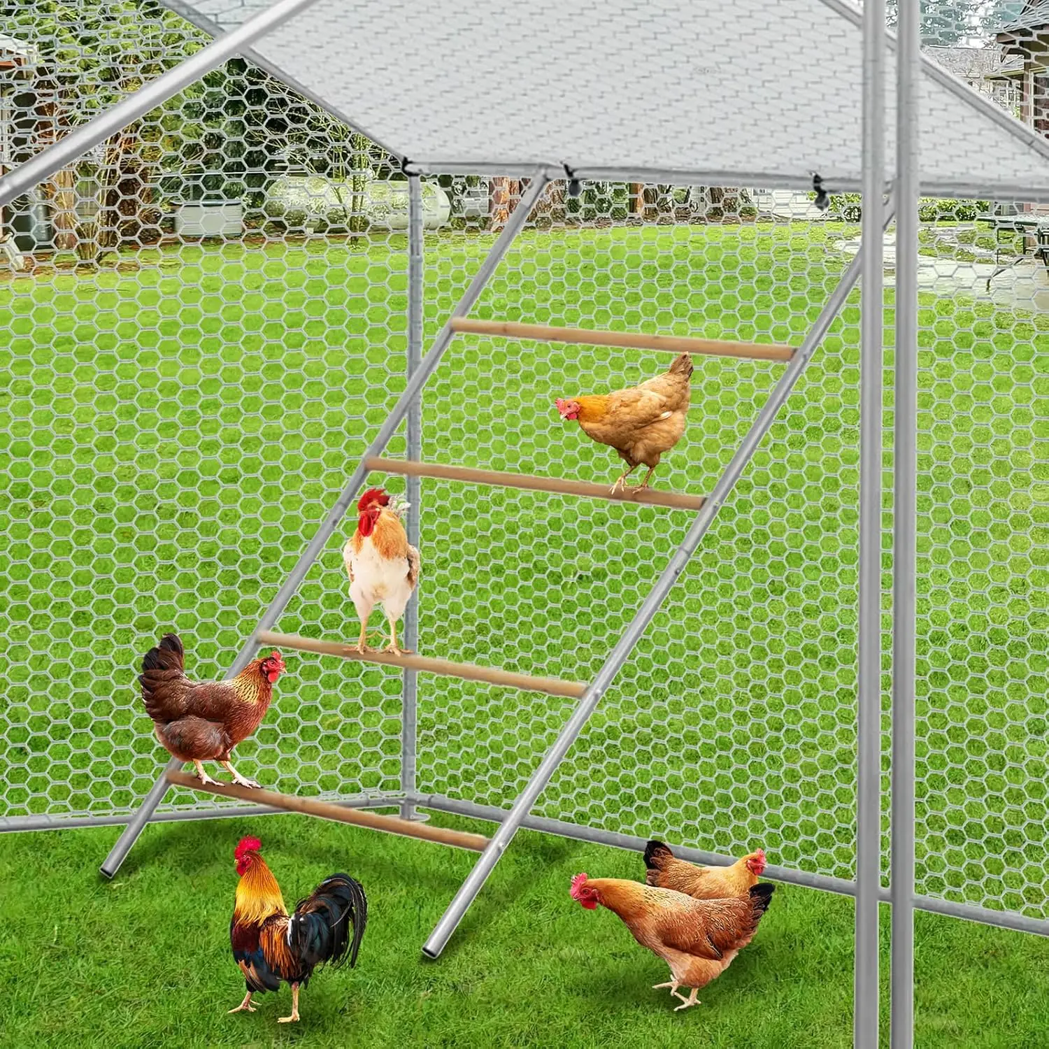 Chickens Roosting Bars for Coop, Chicken Roosting Perch, Easy to Assemble and Clean, Chicken Ladder for Backyard Farm Poultry
Chickens Roosting Bars for Coop, Chicken Roosting Perch, Easy to Assemble and Clean, Chicken Ladder for Backyard Farm Poultry