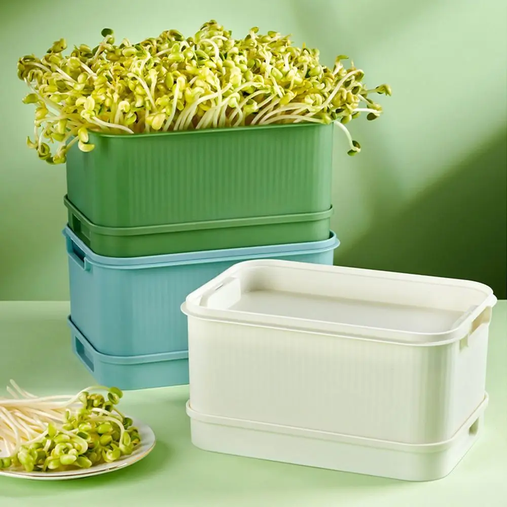 Soilless Cultivation Sprouts Growing Tray Sprout Planting Helper Horticultural Tool Hydroponic Sprouting Plate Multi functional
Soilless Cultivation Sprouts Growing Tray Sprout Planting Helper Horticultural Tool Hydroponic Sprouting Plate Multi functional