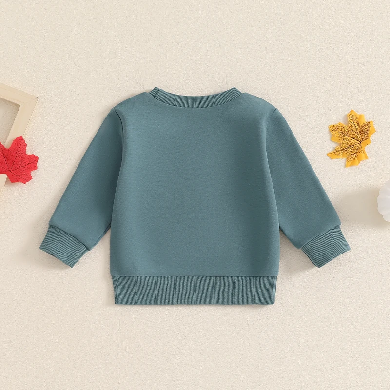 Kids Halloween Sweatshirts with Spooky Embroidery Crew Neck Long Sleeve Pullovers for Boys and Girls Fall Ghost and Pumpkin
Kids Halloween Sweatshirts with Spooky Embroidery Crew Neck Long Sleeve Pullovers for Boys and Girls Fall Ghost and Pumpkin