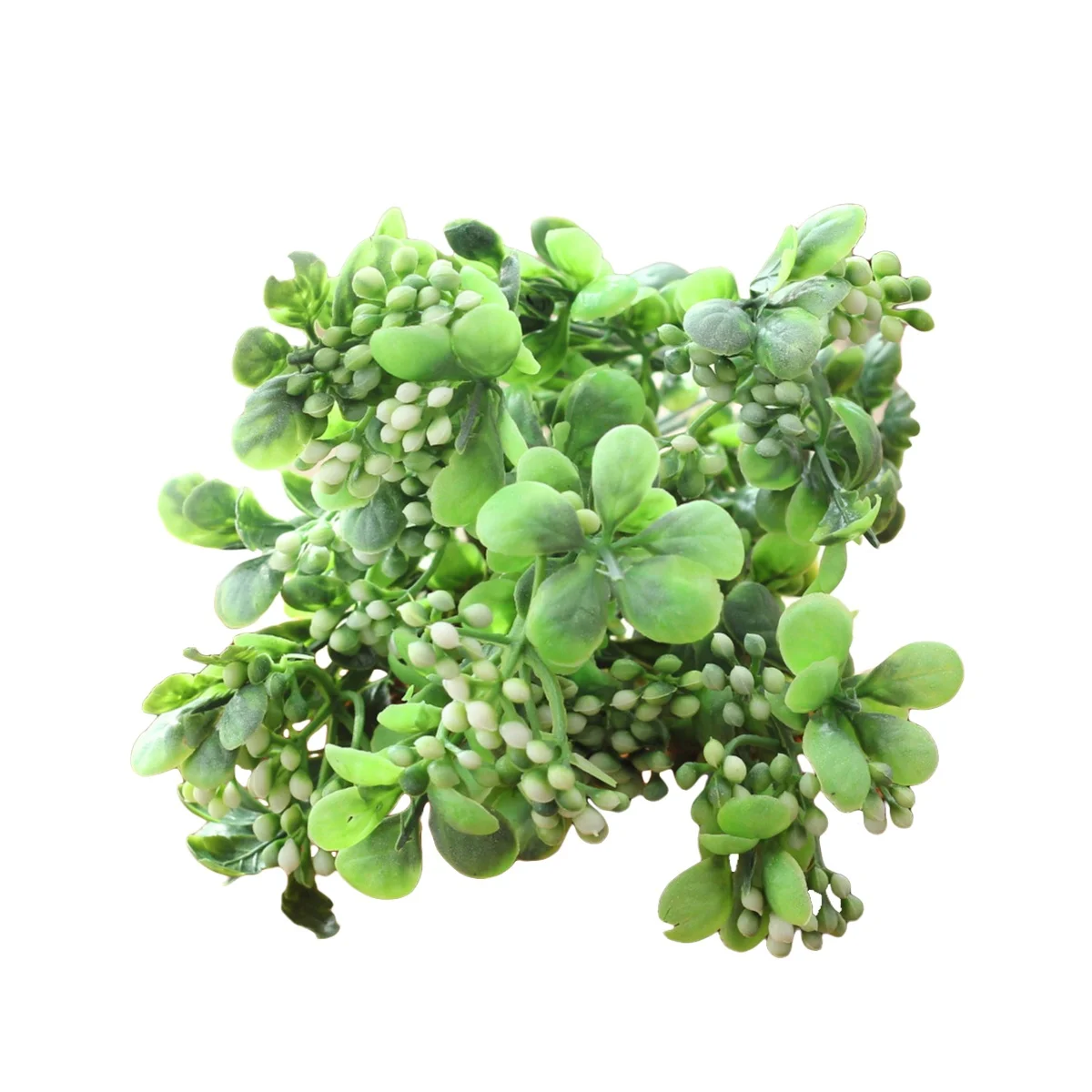 5Pcs Simulation Berries Artificial Fruit Realistic Lifelike Decorative Plants White Kitchen Counter Display Artificial Fruit
5Pcs Simulation Berries Artificial Fruit Realistic Lifelike Decorative Plants White Kitchen Counter Display Artificial Fruit