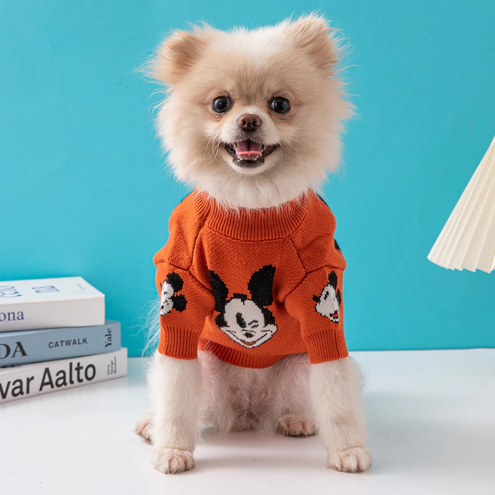 Disney Fashion Winter Dog Sweater Outdoor Warm Dog Coat Small and Medium Dogs Designer Dog Clothes Pet Clothes
Disney Fashion Winter Dog Sweater Outdoor Warm Dog Coat Small and Medium Dogs Designer Dog Clothes Pet Clothes