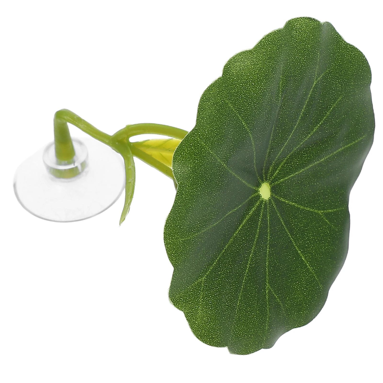 Betta Leaf Hammock Lotus Bed Aquarium Floating Decor Artificial Plants Fish Tank Accessories Pet Hide Spot Easy
Betta Leaf Hammock Lotus Bed Aquarium Floating Decor Artificial Plants Fish Tank Accessories Pet Hide Spot Easy