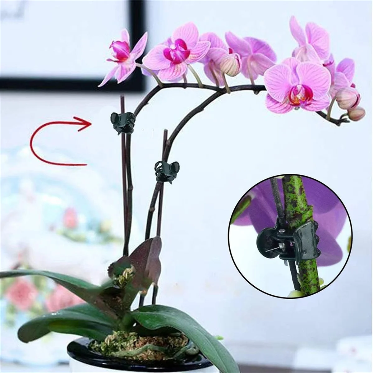 A59T 200Pcs Plants Orchid Support Clips Plant Clips Orchid Clip for Supporting Stems Vines Stalks Climbing Plant Grow Upright
A59T 200Pcs Plants Orchid Support Clips Plant Clips Orchid Clip for Supporting Stems Vines Stalks Climbing Plant Grow Upright