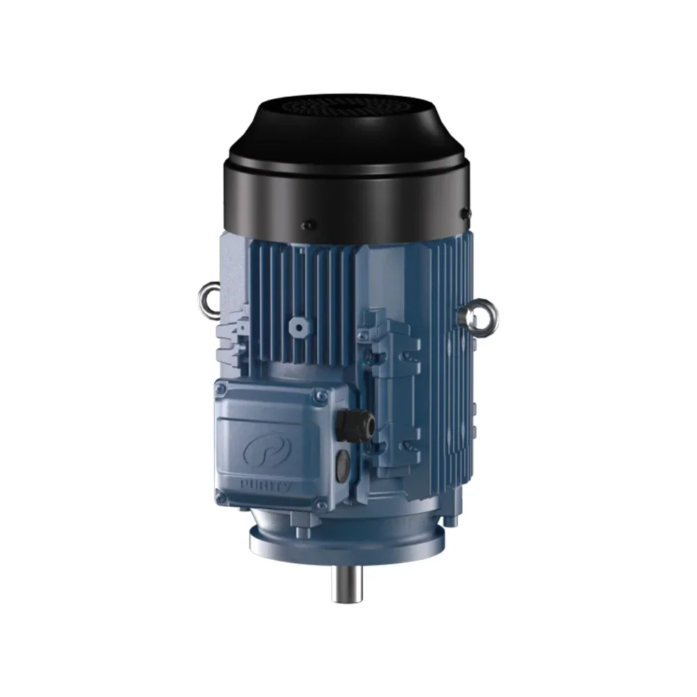 Purity 75kw 100hp Waterproof Three Phase Induction Fastest Electric Motor
Purity 75kw 100hp Waterproof Three Phase Induction Fastest Electric Motor