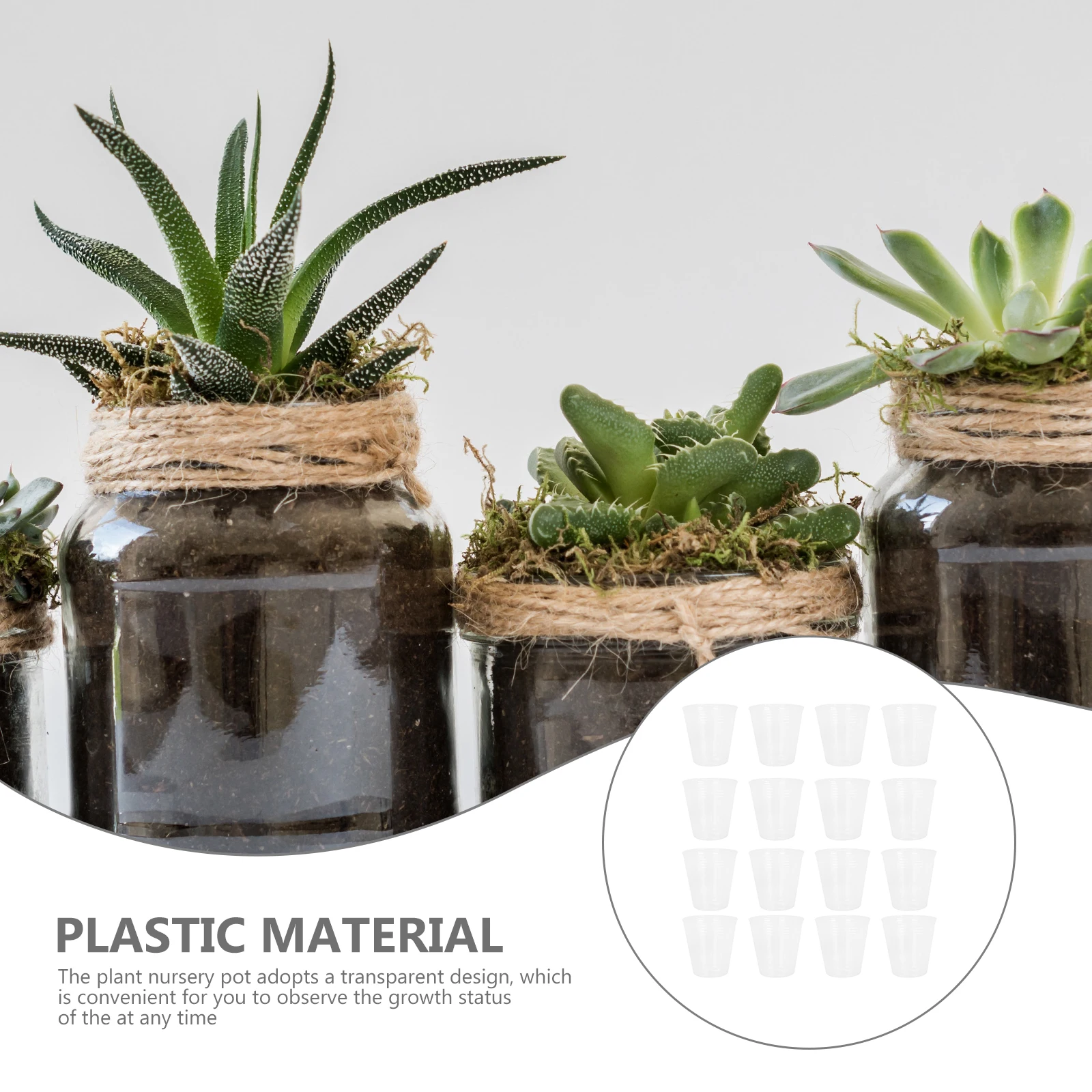 50 Pcs Nursery Cup Transparent Plants Pot Clear Pots Plastic Cups Planting Planter
50 Pcs Nursery Cup Transparent Plants Pot Clear Pots Plastic Cups Planting Planter