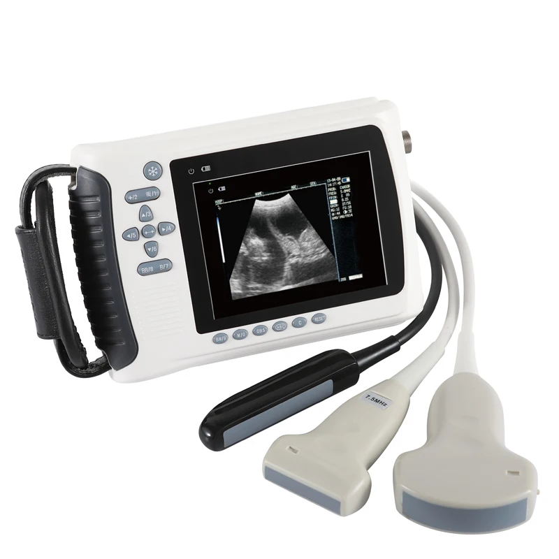 HP-3018V Full Digital Handheld Veterinary Ultrasound Scanner Farm Use for Swine and Canine Vet Instrument
HP-3018V Full Digital Handheld Veterinary Ultrasound Scanner Farm Use for Swine and Canine Vet Instrument