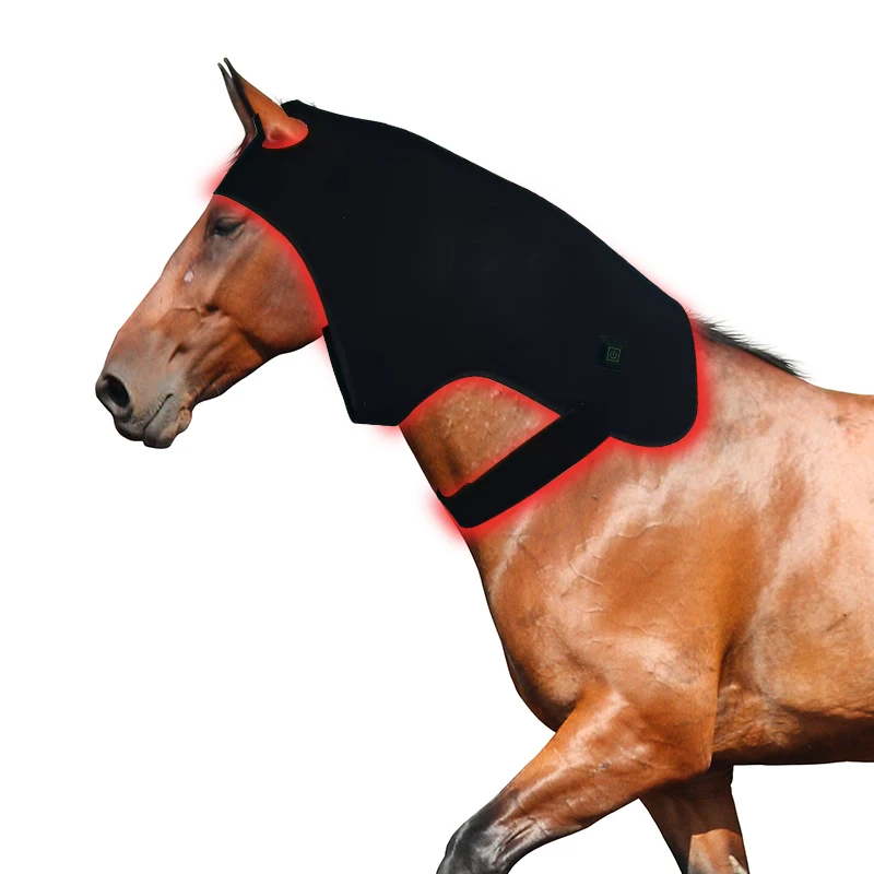 HLT225 Equine Light Cap For Poll Wellness, 660 850nm Small Size For Promoting Horse Calming & Relaxation
HLT225 Equine Light Cap For Poll Wellness, 660 850nm Small Size For Promoting Horse Calming & Relaxation