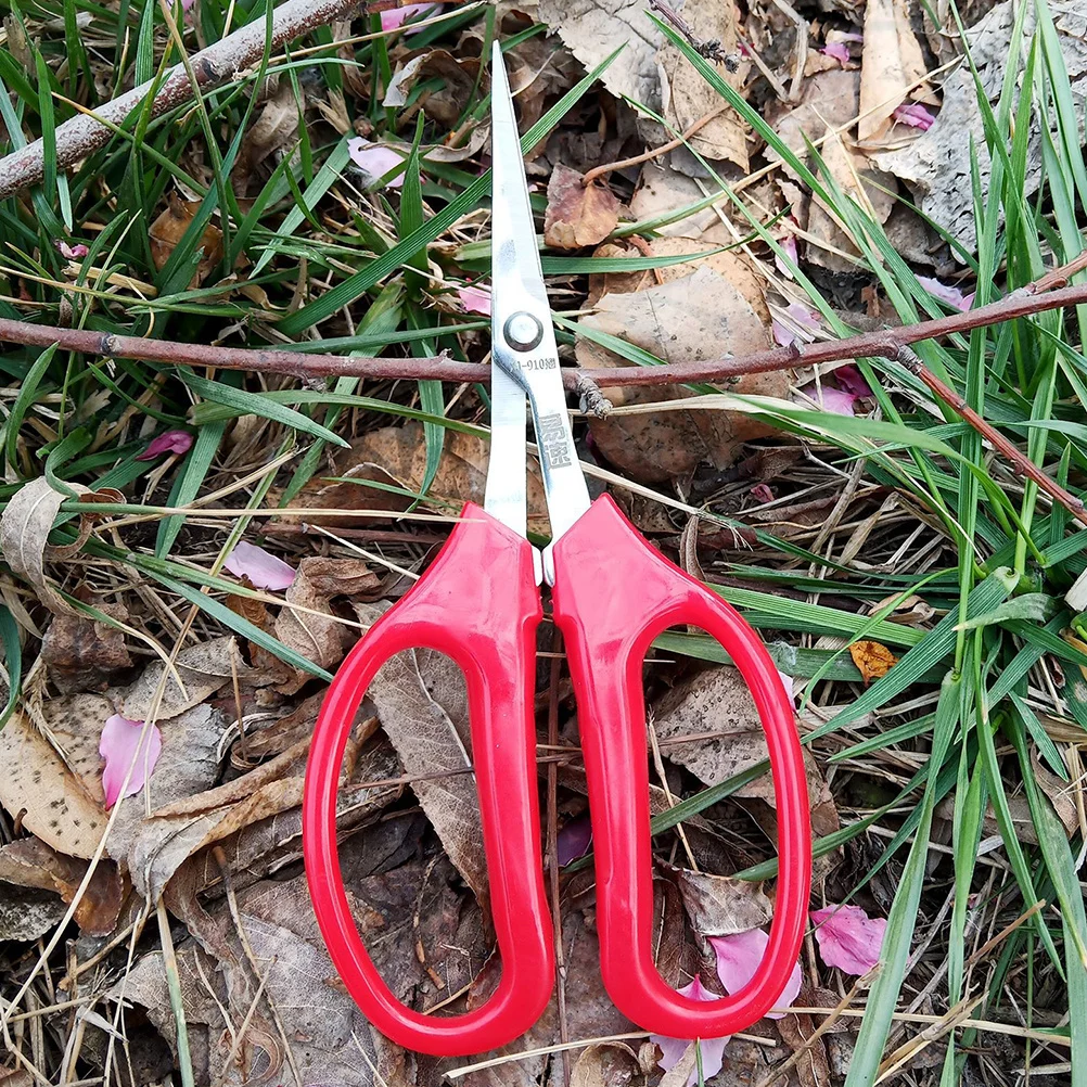 Garden Pruning Shear Durable Comfortable Handle For Branches Flowers Herbs Trimming Tool Horticulture Scissors Flower
Garden Pruning Shear Durable Comfortable Handle For Branches Flowers Herbs Trimming Tool Horticulture Scissors Flower