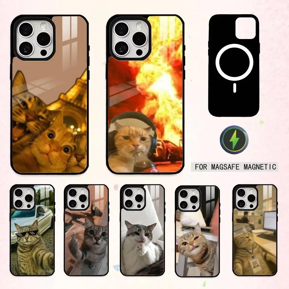 C-Cat M-MEME F-Funny Phone Case For iPhone17,16,15,14,13,12,11 Plus,Pro Max Magnetic For Magsafe Wireless Charging
C-Cat M-MEME F-Funny Phone Case For iPhone17,16,15,14,13,12,11 Plus,Pro Max Magnetic For Magsafe Wireless Charging