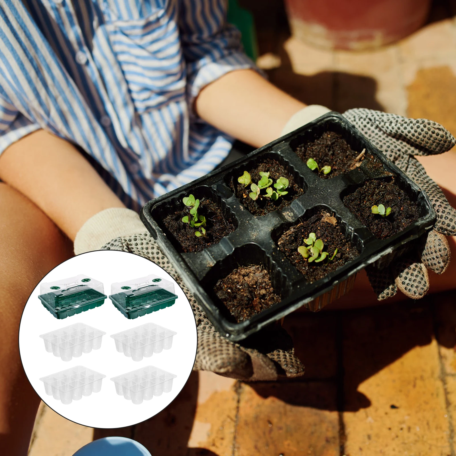 1 set Breathable Seedling Tray Hydroponic Nursery Clear UV Resistant Lid Adjustable Ventilation for Herb Garden Coir Compost
1 set Breathable Seedling Tray Hydroponic Nursery Clear UV Resistant Lid Adjustable Ventilation for Herb Garden Coir Compost