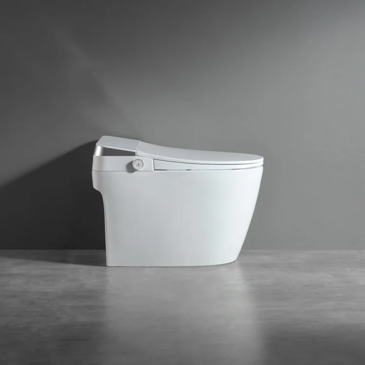 Smart Toilet Bidet Remote Control Heated Seat Cold/Warm Water Wash Sensor Flush Ceramic Floor Mounted for Hotel Bathroom Use
Smart Toilet Bidet Remote Control Heated Seat Cold/Warm Water Wash Sensor Flush Ceramic Floor Mounted for Hotel Bathroom Use