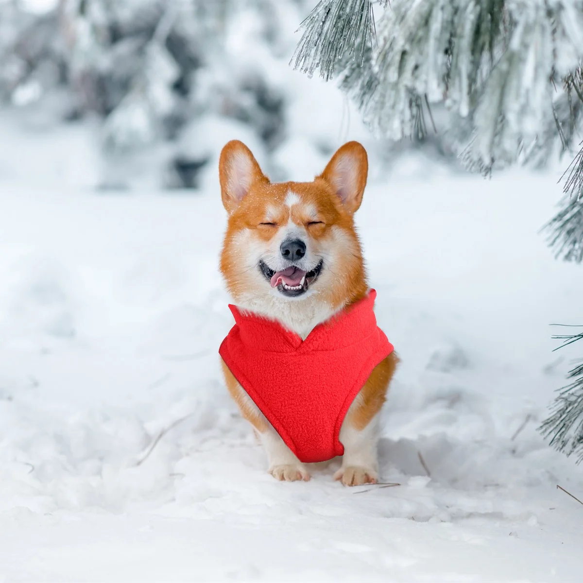 Thicken Dog Vest Winter Warm Padded Cotton Skiing Size S Red Small Large Dogs Breathable Comfortable Pet Windproof Puppy Coat
Thicken Dog Vest Winter Warm Padded Cotton Skiing Size S Red Small Large Dogs Breathable Comfortable Pet Windproof Puppy Coat