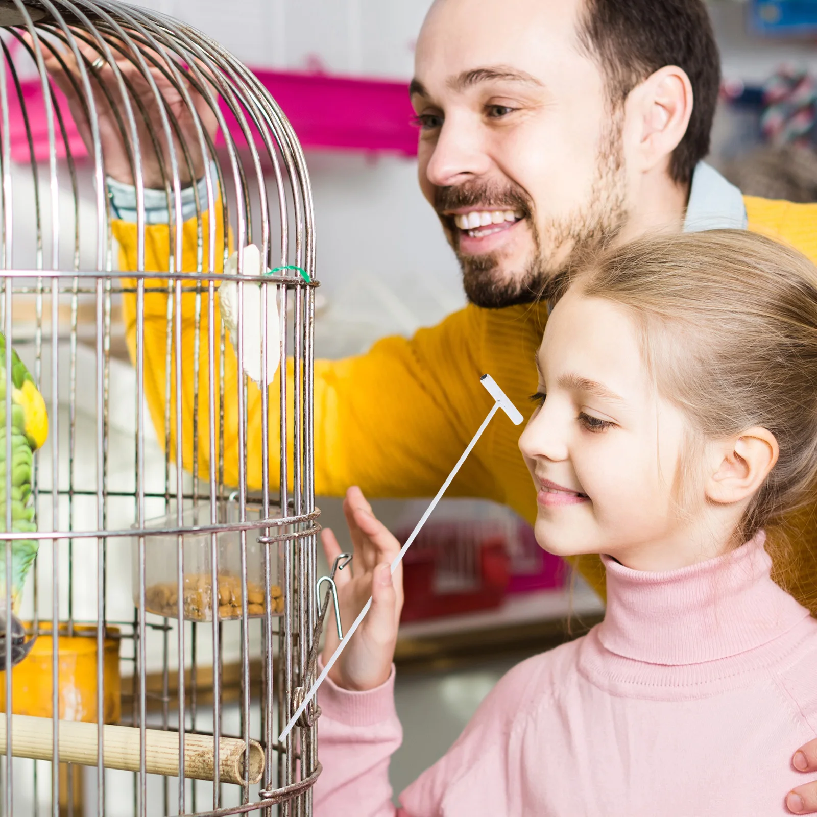 8pcs Bird Iron Material Easy Install For Pigeon Cage Entrance Wire Bar Pigeon Door Rod Cage Door Bars
8pcs Bird Iron Material Easy Install For Pigeon Cage Entrance Wire Bar Pigeon Door Rod Cage Door Bars