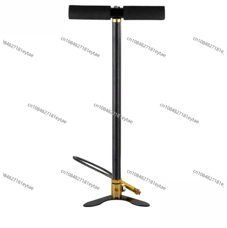 30MPA 40MPA 4500PSI High Pressure Hand Pump Stainless Steel Air Inflator
30MPA 40MPA 4500PSI High Pressure Hand Pump Stainless Steel Air Inflator
