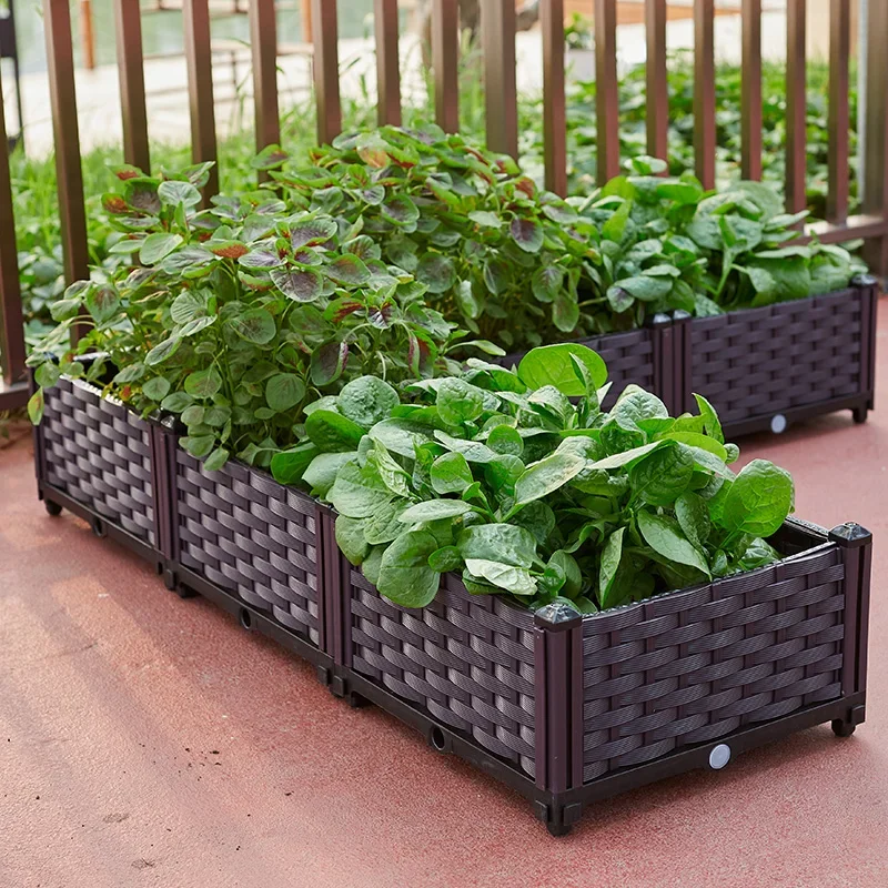 Family Balcony Roof Vegetable Planting Box Rectangular Home Indoor Planter Outdoor Vegetable Garden
Family Balcony Roof Vegetable Planting Box Rectangular Home Indoor Planter Outdoor Vegetable Garden
