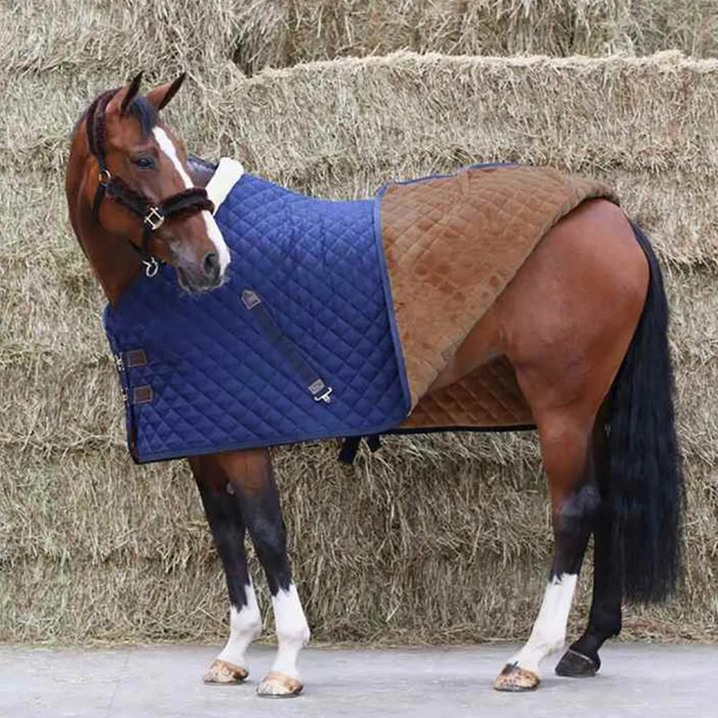 Equestrian Rug Heavy Fill 400g Winter Horse Blanket Twill Fabric Horse Stable Rug 2026
Equestrian Rug Heavy Fill 400g Winter Horse Blanket Twill Fabric Horse Stable Rug 2026
