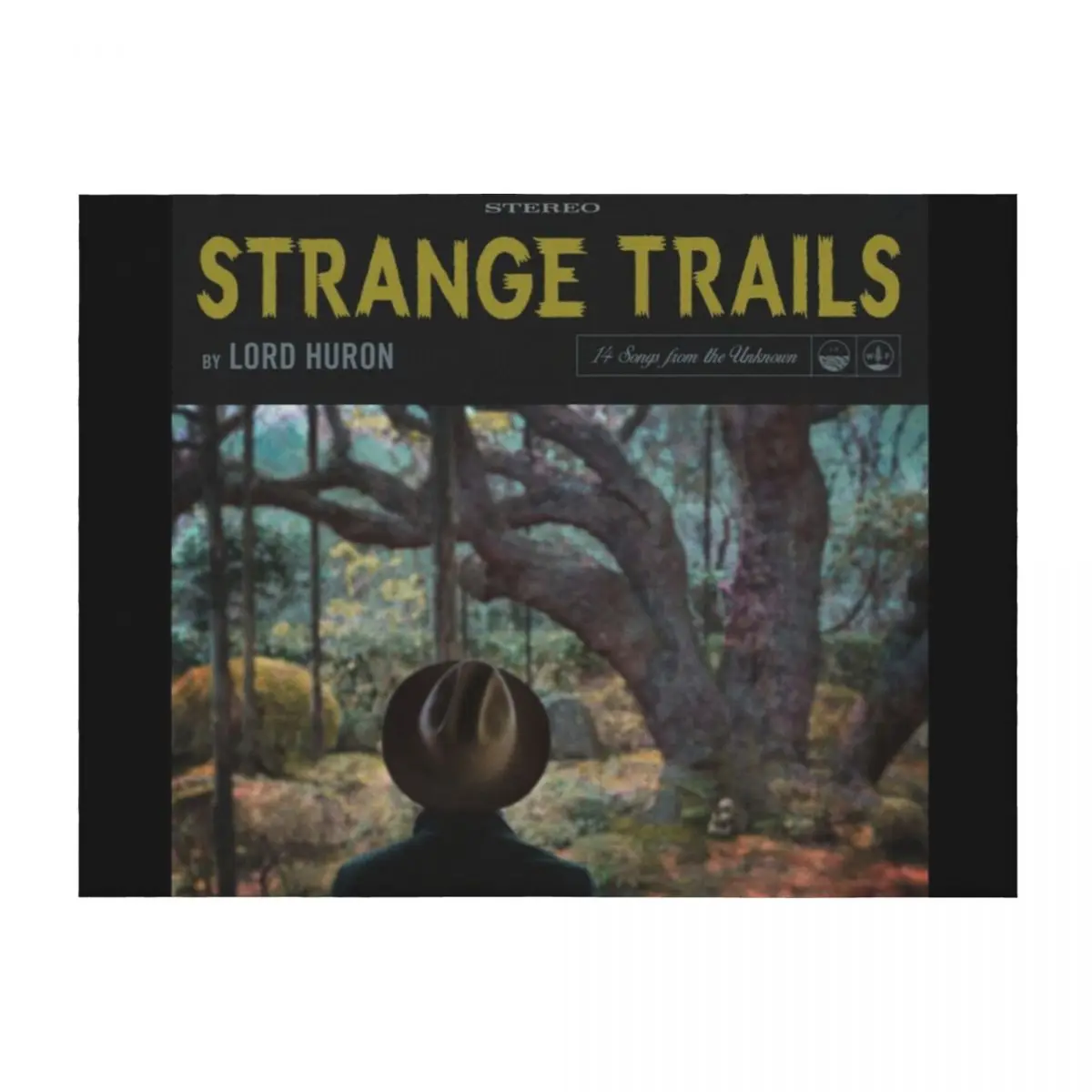 Одеяло Lord Huron Strange Trails, идеи подарков на день Святого Валентина, одеяла и пледы, милые мягкие одеяла
Одеяло Lord Huron Strange Trails, идеи подарков на день Святого Валентина, одеяла и пледы, милые мягкие одеяла