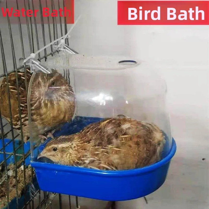 Pet Chicken Bath Tray Outdoor Hanging Bird Cage Shower Small Parrot Sand Bath Tub Plastic Material Pet Supplies for Birds
Pet Chicken Bath Tray Outdoor Hanging Bird Cage Shower Small Parrot Sand Bath Tub Plastic Material Pet Supplies for Birds