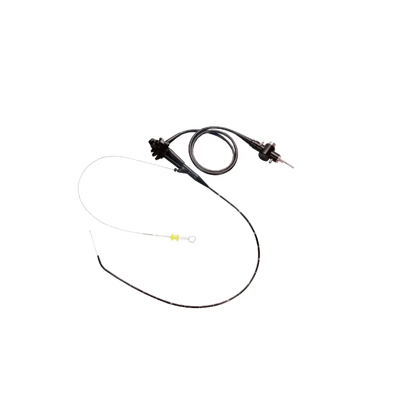 Electronic Gastroscope Fiber Cholangioscopy Endoscope Enteroscope Nasopharyngeal Laryngoscope Medical
Electronic Gastroscope Fiber Cholangioscopy Endoscope Enteroscope Nasopharyngeal Laryngoscope Medical