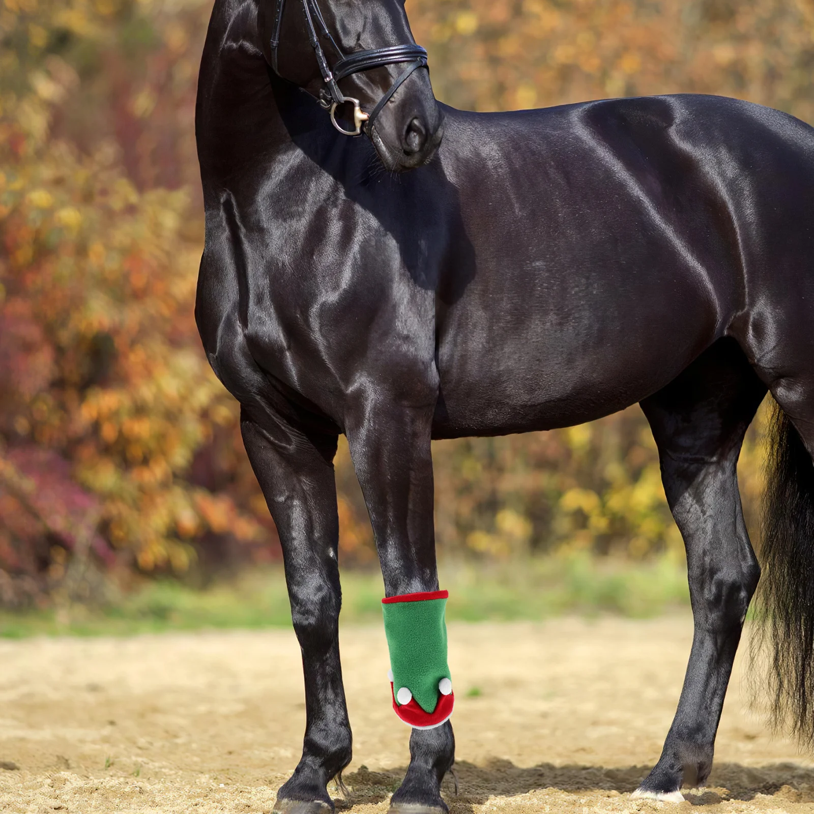 1 Set Horse Decoration Kit Christmas Hat Leg Wraps Holiday Party Parade Supplies Breathable Comfortable Fit Pet Horse Costume
1 Set Horse Decoration Kit Christmas Hat Leg Wraps Holiday Party Parade Supplies Breathable Comfortable Fit Pet Horse Costume