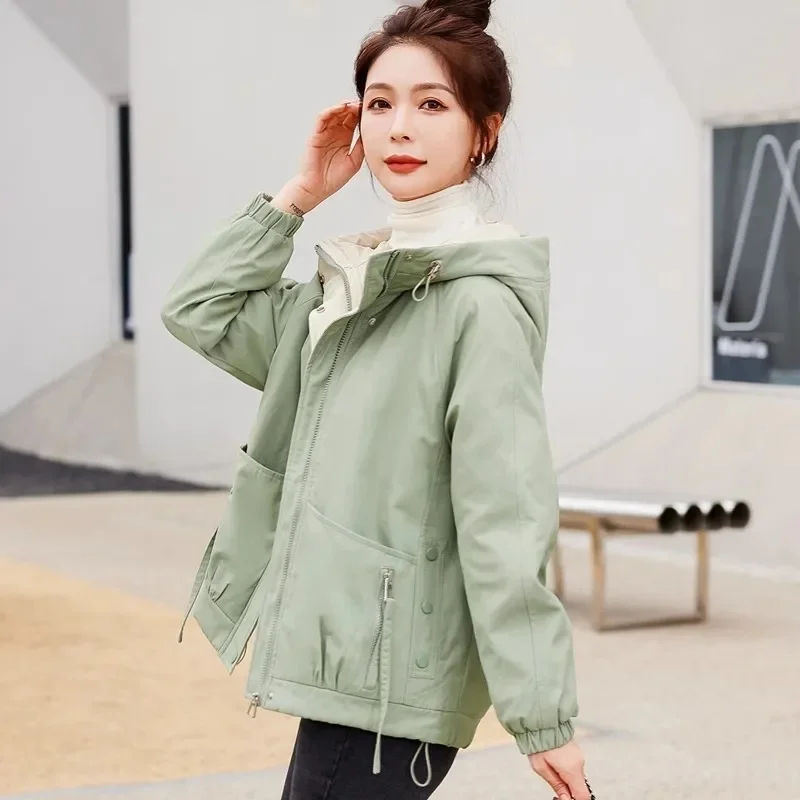 Down Coat Women Parkas Autumn Winter2024New Loose Casual Warm Cotton Padded Jacket Thicken High Quality Short Outwear Ladies Top
Down Coat Women Parkas Autumn Winter2024New Loose Casual Warm Cotton Padded Jacket Thicken High Quality Short Outwear Ladies Top