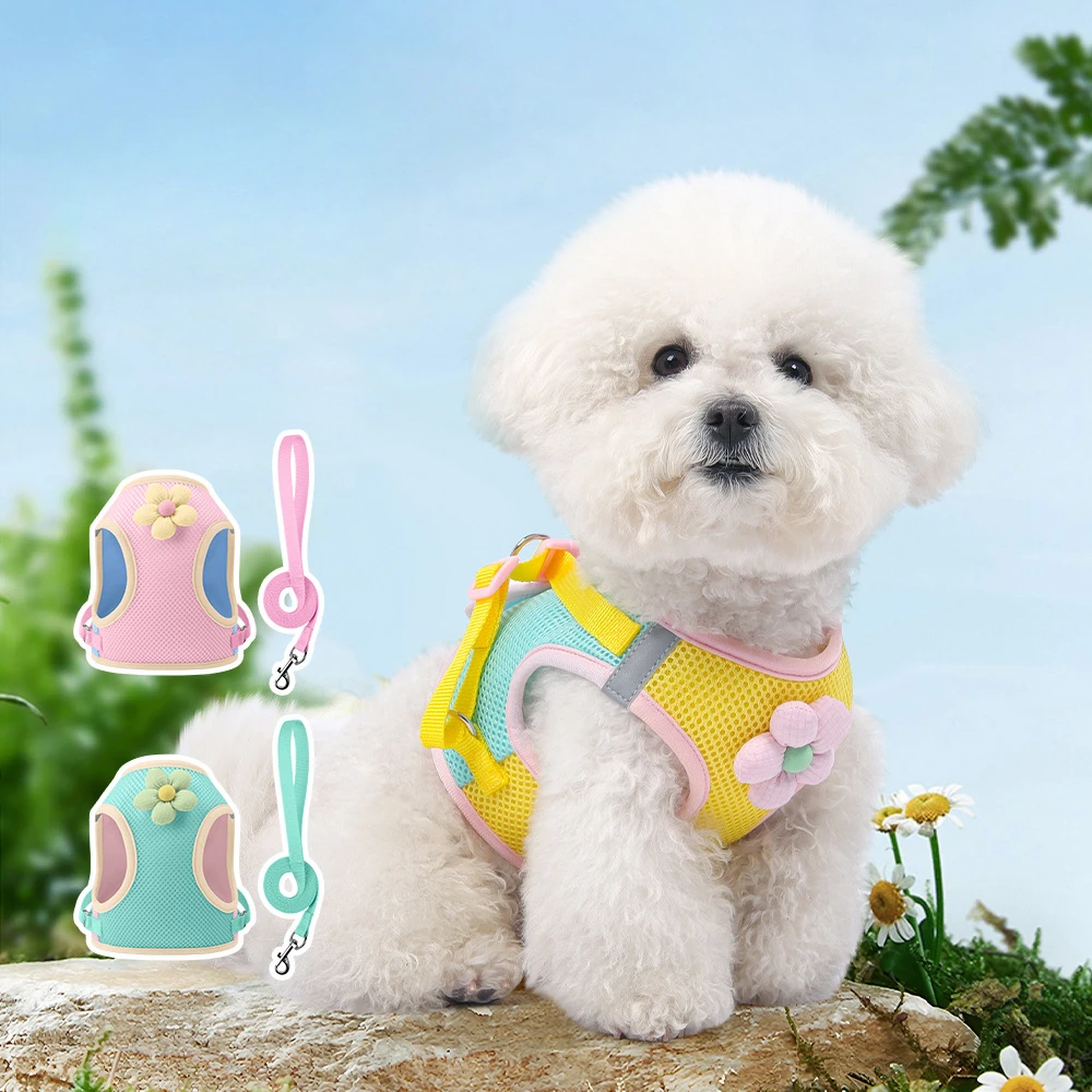 Cat Dog Harness and Leash Breathable Mesh Pet Chest Straps for Cats Puppy Walking Lead Ragdoll Chihuahua Vest Harness Bulldog
Cat Dog Harness and Leash Breathable Mesh Pet Chest Straps for Cats Puppy Walking Lead Ragdoll Chihuahua Vest Harness Bulldog