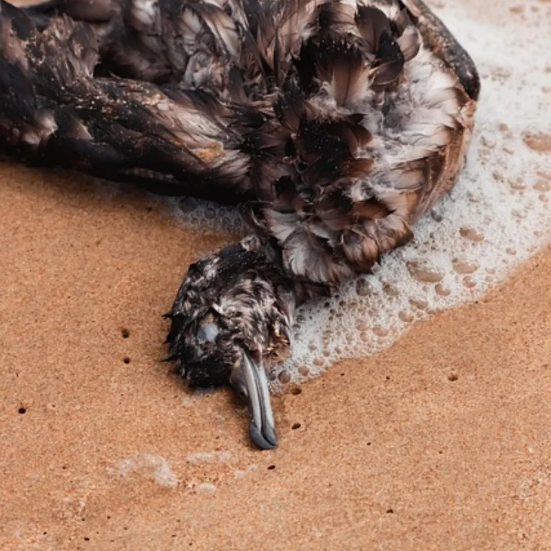 4 шт., обновленная ось, защитная пластина, бампер, защита шасси для 1/10 Traxxas TRX-4 E-REVO, радиоуправляемый гусеничный автомобиль, запчасти
4 шт., обновленная ось, защитная пластина, бампер, защита шасси для 1/10 Traxxas TRX-4 E-REVO, радиоуправляемый гусеничный автомобиль, запчасти