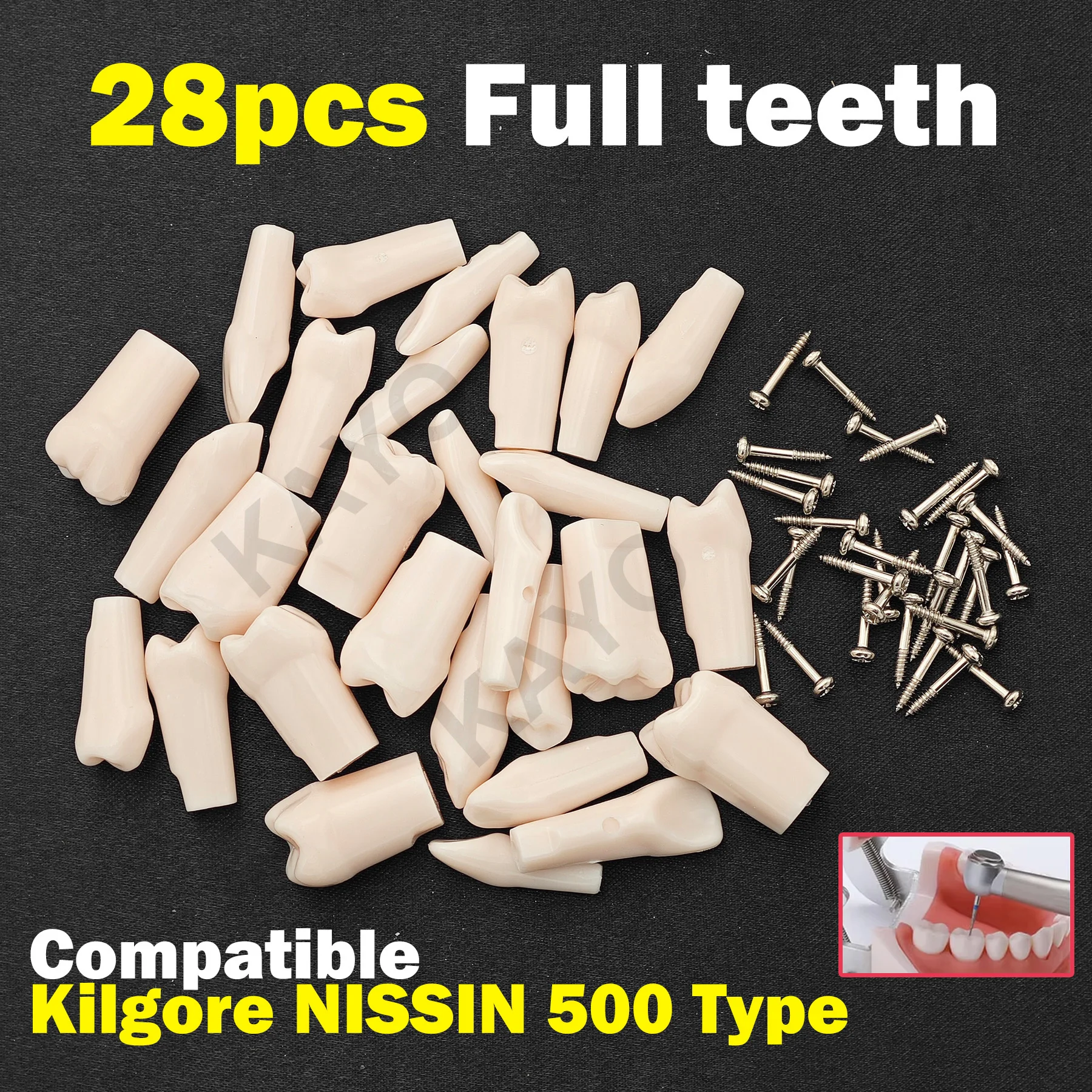 Зубная сменная ввинчиваемая модель зубов, модель типоне подходит для NISSIN 500, обучение стоматологии
Зубная сменная ввинчиваемая модель зубов, модель типоне подходит для NISSIN 500, обучение стоматологии