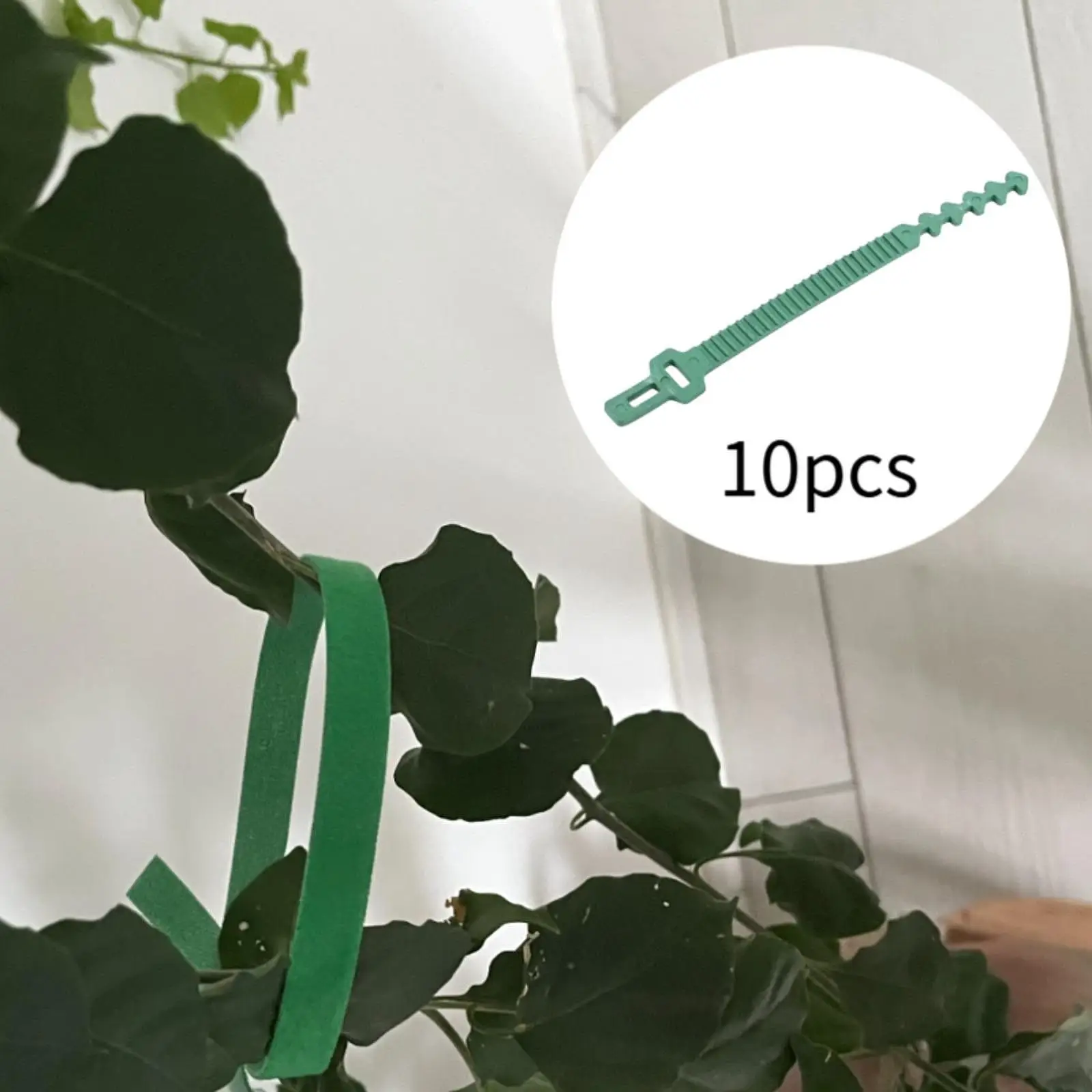 10 Pieces Plant Ties Flexible Nonslip Reusable Lightweight Versatile Fasteners Supplies for Indoor Outdoor Shrub Lawn Rose
10 Pieces Plant Ties Flexible Nonslip Reusable Lightweight Versatile Fasteners Supplies for Indoor Outdoor Shrub Lawn Rose