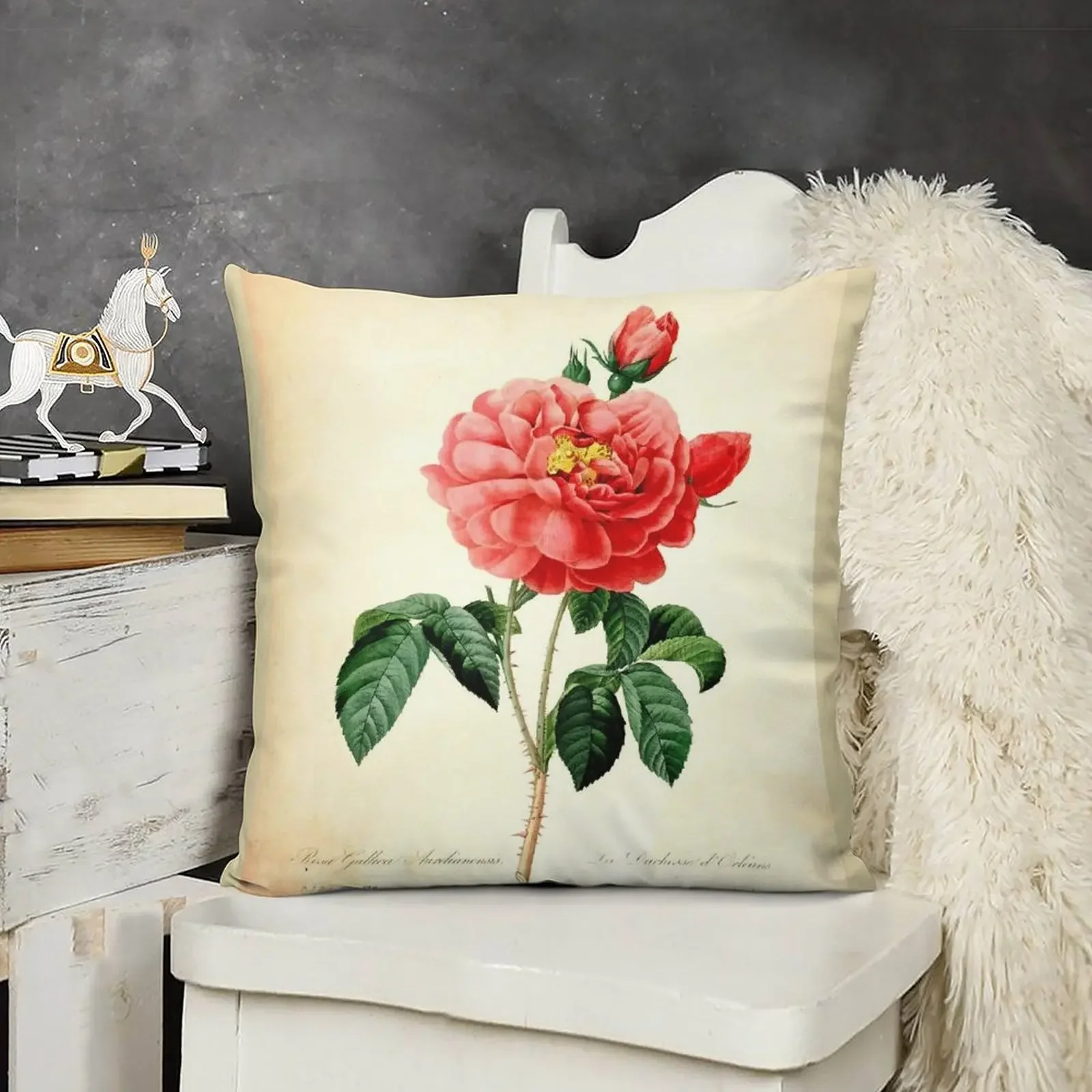 Vintage botanical art, red rose flower. Redoute Throw Pillow Decorative Cover For Living Room Cushion Cover pillow
Vintage botanical art, red rose flower. Redoute Throw Pillow Decorative Cover For Living Room Cushion Cover pillow