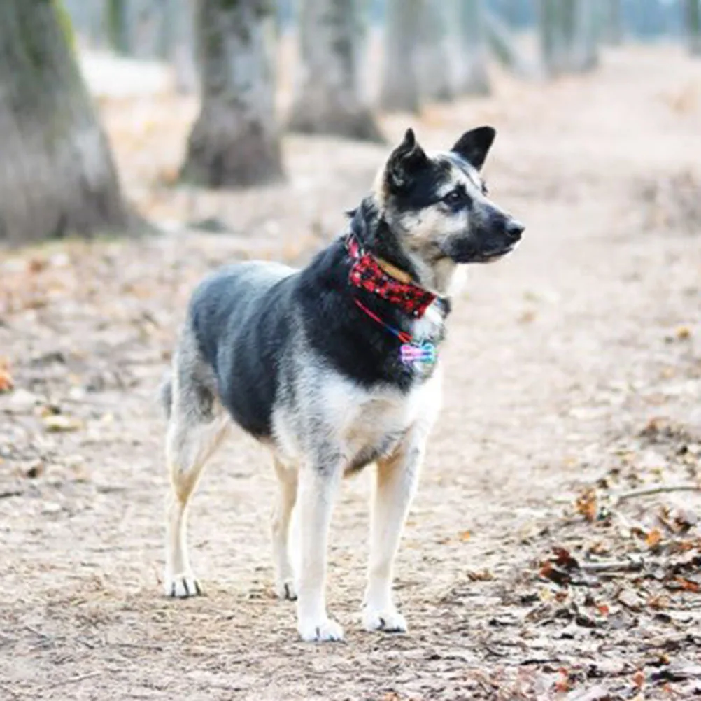 Christmas Pet Dog Collar Adjustable Nylon Snowflake Pattern Durable Comfortable For Cat Dog Personalized Xs Size
Christmas Pet Dog Collar Adjustable Nylon Snowflake Pattern Durable Comfortable For Cat Dog Personalized Xs Size
